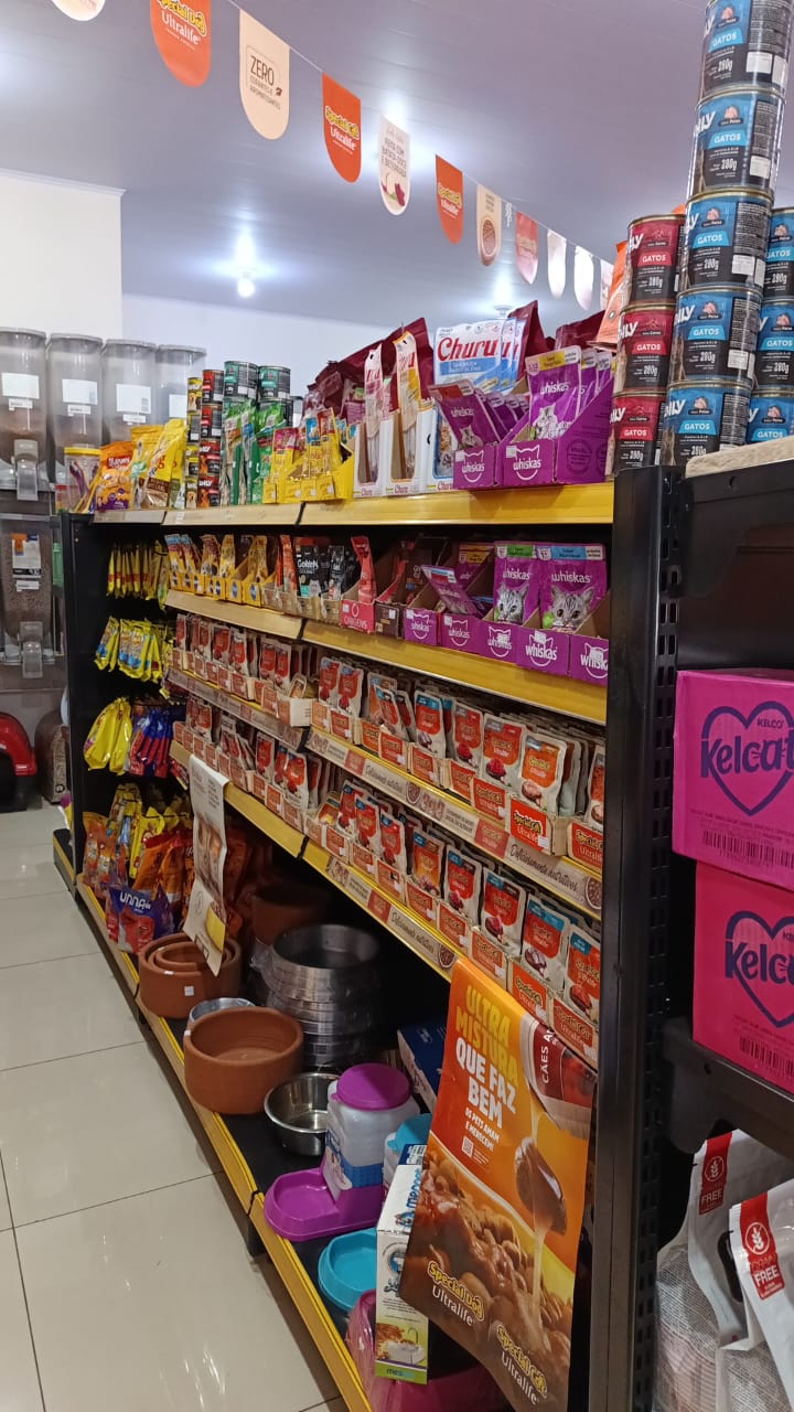 Seleção de produtos e acessórios para pets